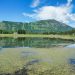A serene mountain lake reflecting blue skies and lush greenery, perfect for nature lovers.