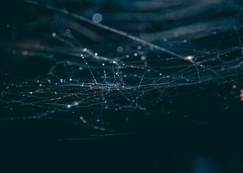 Intricate close-up of dewy spider webs against a dark background, evoking a mystical and moody atmosphere.