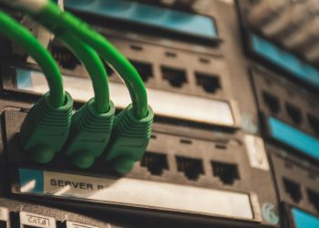 Close-up of green network cables plugged into server ports, showcasing technology setup.