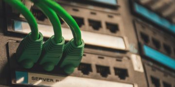 Close-up of green network cables plugged into server ports, showcasing technology setup.