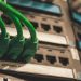 Close-up of green network cables plugged into server ports, showcasing technology setup.