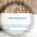 Magnifying glass focusing on terms and conditions document on wooden surface.