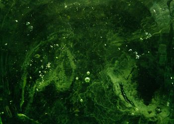A vibrant green liquid texture with swirling patterns and air bubbles, evoking a sense of movement.