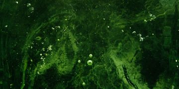 A vibrant green liquid texture with swirling patterns and air bubbles, evoking a sense of movement.