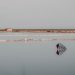 A tranquil scene of salt flats with still water reflecting structures under a clear sky.