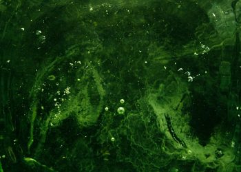 green and black abstract painting