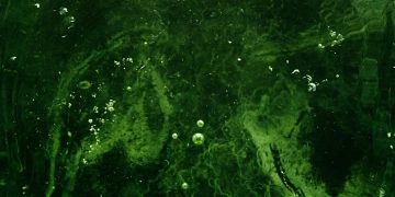 green and black abstract painting