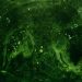 green and black abstract painting