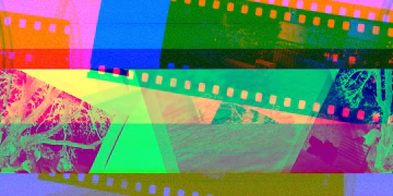 Vibrant display of overlapping photographic film rolls in abstract colors.