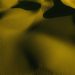 Stunning aerial view of golden sand dunes with artistic shadows and textures.