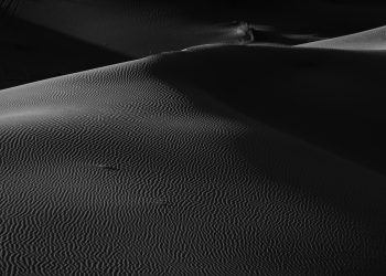 a black and white photo of a desert