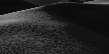 a black and white photo of a desert