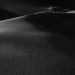 a black and white photo of a desert