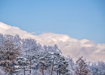 A serene winter view of a snowy forest in Seoul, featuring an airplane against a blue sky.