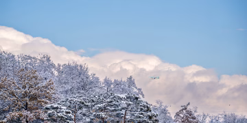 A serene winter view of a snowy forest in Seoul, featuring an airplane against a blue sky.