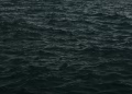 Capture of dark, moody ocean waves at dusk with a dramatic feel.