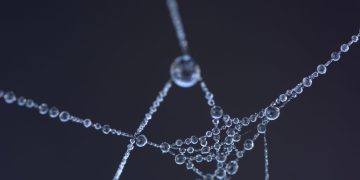 Close-up shot of a spider web with glistening water droplets, creating an artistic and abstract appearance.