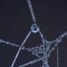 Close-up shot of a spider web with glistening water droplets, creating an artistic and abstract appearance.