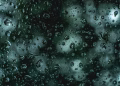 Close-up of raindrops on a glass window with a blurred green background.