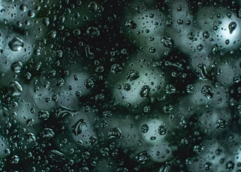 Close-up of raindrops on a glass window with a blurred green background.
