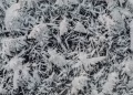 Detailed close-up of frost and ice formations on glass with a winter theme.