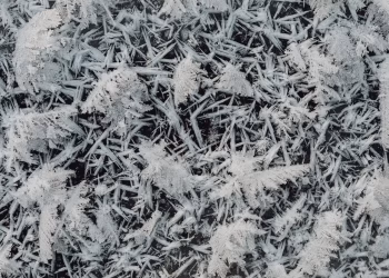 Detailed close-up of frost and ice formations on glass with a winter theme.