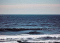 Peaceful view of ocean waves gently crashing under clear skies, evoking calm and serenity.