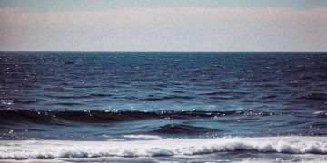 Peaceful view of ocean waves gently crashing under clear skies, evoking calm and serenity.