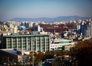 high-rise buildings beside trees