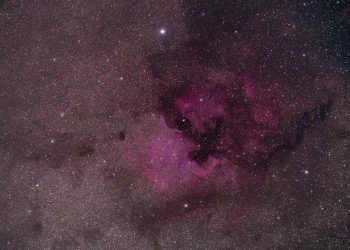 A breathtaking view of the North America Nebula, capturing vibrant stars and cosmic beauty.