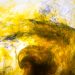 Dynamic abstract image of yellow ink swirling in water, creating mesmerising patterns.
