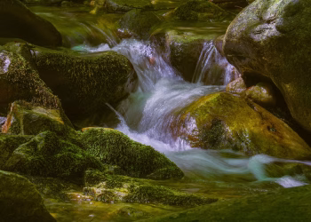 Tranquil stream flowing over moss-covered boulders in a lush forest setting, capturing nature's peaceful essence.