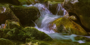 Tranquil stream flowing over moss-covered boulders in a lush forest setting, capturing nature's peaceful essence.