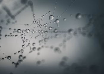Macro shot of water droplets on a spider web capturing the essence of nature's beauty.