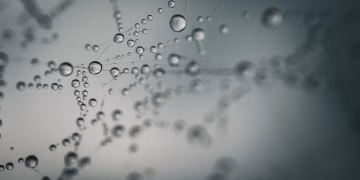 Macro shot of water droplets on a spider web capturing the essence of nature's beauty.