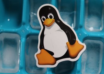 Close-up of a Linux penguin sticker placed on a blue ice cube tray with frozen cubes.