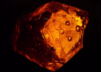 A beautifully illuminated orange amber stone with detailed textures and patterns.