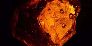 A beautifully illuminated orange amber stone with detailed textures and patterns.