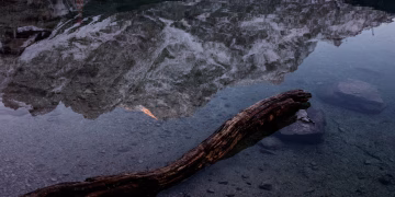 Serene mountain reflection in a calm lake with a weathered log in the foreground.