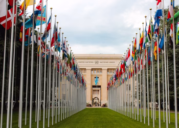 From below of various flags on flagpoles located in green park in front of entrance to the UN headquarters in Geneva