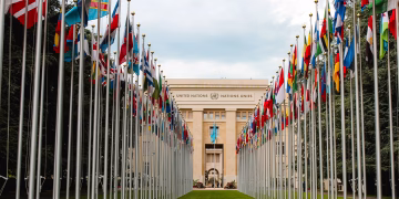 From below of various flags on flagpoles located in green park in front of entrance to the UN headquarters in Geneva