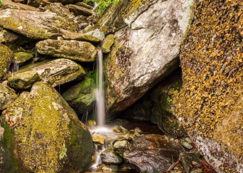 Small waterfall cascading over mossy rocks, showcasing nature's raw beauty and tranquility.