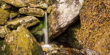 Small waterfall cascading over mossy rocks, showcasing nature's raw beauty and tranquility.