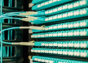 Networking cables plugged into a patch panel, showcasing data center connectivity.