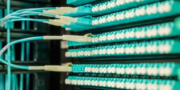 Networking cables plugged into a patch panel, showcasing data center connectivity.