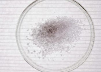 High-angle view of salt crystals in a petri dish, perfect for science stock images.