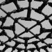 Black and white close-up of an intricate playground climb structure showcasing geometric patterns.