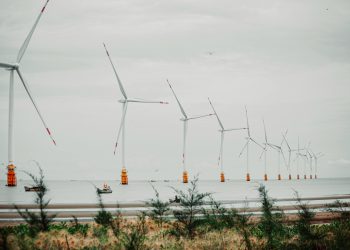 Scenic view of offshore wind turbines lined up in calm sea setting with vegetation in foreground.