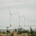 Scenic view of offshore wind turbines lined up in calm sea setting with vegetation in foreground.