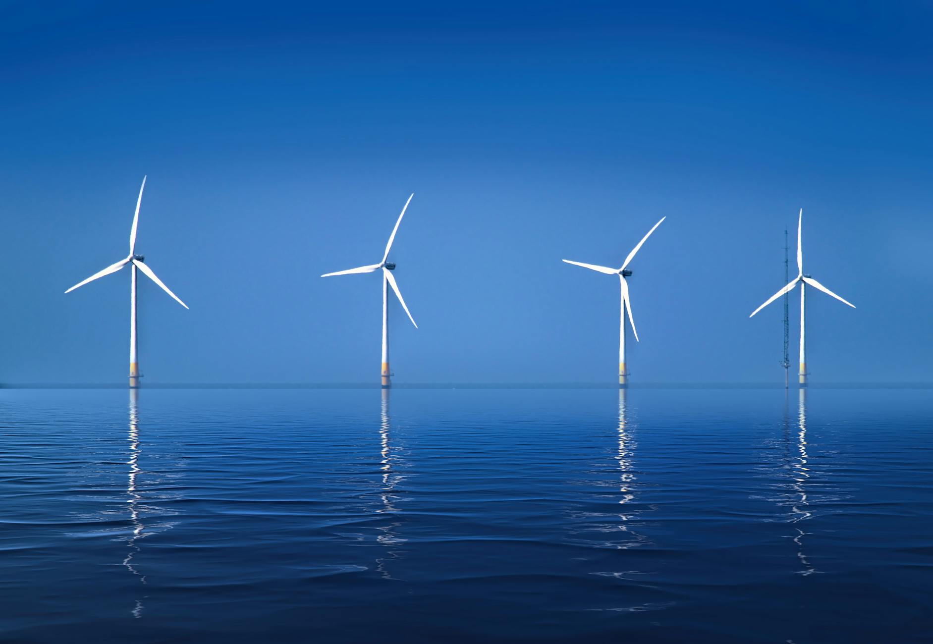 Serene landscape of offshore wind turbines reflecting on calm ocean water.